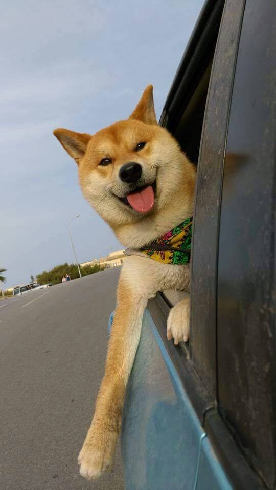 Happiness